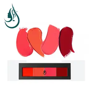 Çin fabrika yüksek kalite 4 renk dudak parlatıcısı paleti özel etiket dudak parlatıcısı paleti