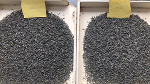 célèbre marque <span class=keywords><strong>thé</strong></span> vert de chine chunmee 41022aaaaa to <span class=keywords><strong>sahara</strong></span> - Product Image 6