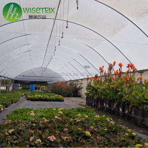 Giá Rẻ Đường Hầm Cao Duy Nhất Tuổi Thọ Prefab Thương Mại Nhà Kính Cấu Trúc - Product Image 3