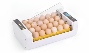 Incubateur et éclosoir automatique HHD pour reines d'abeilles, batterie de <span class=keywords><strong>couveuse</strong></span> - Product Image 4
