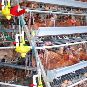 Poulailler en métal à 3 niveaux pour poules Prix - Product Image 3