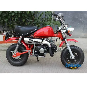 Monkey Motorcycle Dirt Bike 110cc Pit Bike