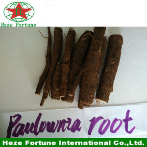 comprar el 99% sobrevive fuerte paulownia adaptabilidad raíz shan tong - Product Image 5