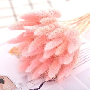 Bouquets de fleurs séchées herbes, 50 pièces, plantes en queue de lapin, lagure ovale, prix d'usine - Product Image 6