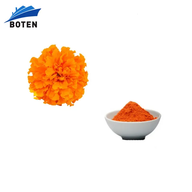 En iyi fiyat lutein marigold flora çiçek özü tozu
