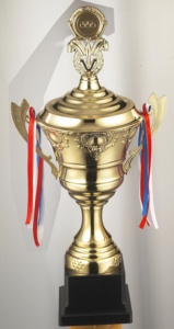 Ucuz Basit Tasarım Metal Plastik Kupa Ve Madalya - Product Image 2