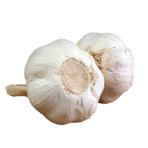 2018 Nouvelle Récolte Elephant Pure <span class=keywords><strong>Ail</strong></span> Blanc En Vente - Product Image 2