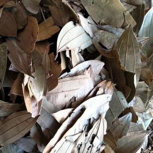 Hojas de Laurel Indio Secas Naturales, Tejpat Malabathrum, <span class=keywords><strong>Cinnamomum</strong></span> Tamala - Product Image 3