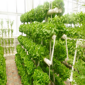 ऊर्ध्वाधर <span class=keywords><strong>nft</strong></span> हाइड्रोपोनिक बढ़ते चैनल-लेट्यूस के लिए पेशेवर हाइड्रोपोनिक प्रणाली, इकट्ठा करने और बनाए रखने में आसान - Product Image 3