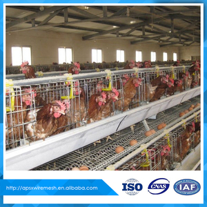 Batería de pollo jaula para gallinero de tipo pirámide - Product Image 5