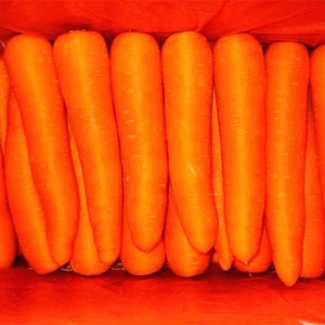 Cina Bulk <span class=keywords><strong>Fresh</strong></span> Carota Per Prezzo di Vendita - Product Image 3