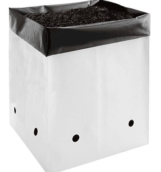 Blanc et noir