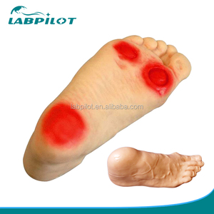 Kualitas tinggi Kaki Diabetik Keperawatan Simulator Model - Product Image 2