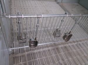 <span class=keywords><strong>Abreuvoir</strong></span> en acier inoxydable pour cochons elliptiques - Product Image 5