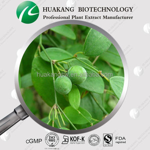 Поставка порошкового типа <span class=keywords><strong>Sarsaparilla</strong></span> P.E. Экстракт Rhizoma Smilacis Glabrae