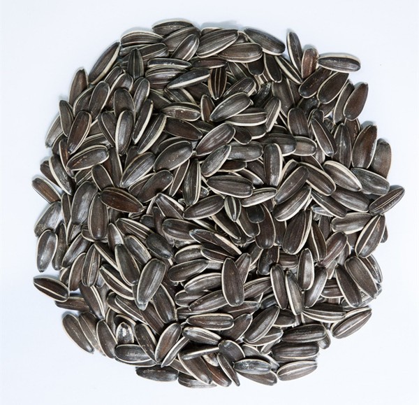 flavored white sunflower seeds