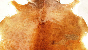 Cow Hide Rug - Product Image 2