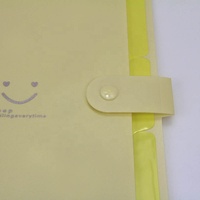 Carpeta de archivos con 5 bolsillos, impresión personalizada, bonito pp a4