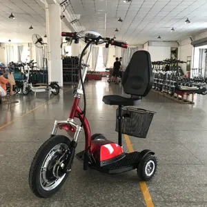 Wholesale OEM Zappy Mobility Scooter 3 Wheels Electric Tricycle with CE