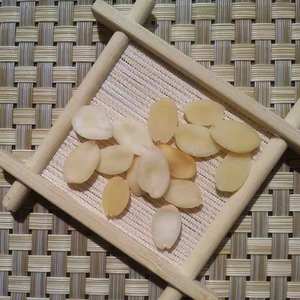 Amêndoa americana amostra grátis para venda Amêndoa torrada - Product Image 3