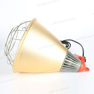 100w 150w 175w <span class=keywords><strong>200w</strong></span> 275w PAR38 lampe infrarot für schweine küken bauernhof infrarot geflügel mit lampe abdeckung