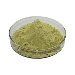 Factory Bulk Pure Vernonia Amygdalina Leaf Powder