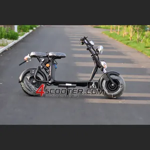 China Supplier Smart Mini Scooter Electric Citycoco