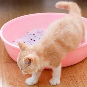 Çin fabrika 3.8L mavi silika jel kedi kumu kedi temizleme taze kristal kedi kumu - Product Image 5