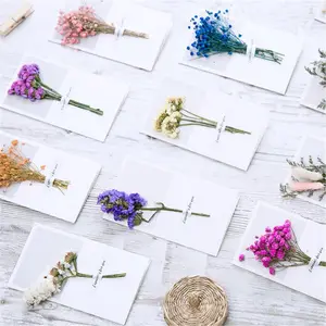 Nouveaux styles de cartes de voeux de fleurs séchées