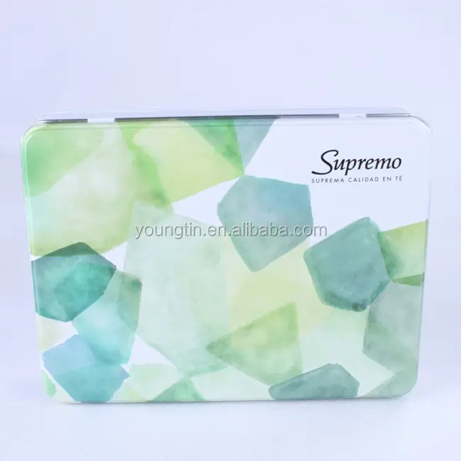 Rectangle cosmetic customized tin metal container box with hinged lid