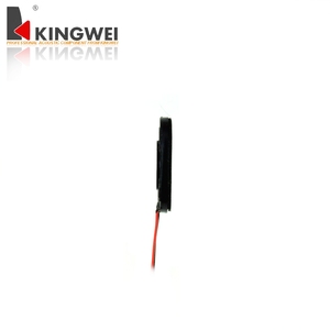 Petit haut-parleur de haute qualité 20x30mm 8 ohms 1,0W pour utilisation automobile - Product Image 3