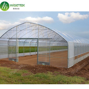 Hail Resistant <strong>Etfe</strong> <strong>Film</strong> 200 Micron <strong>Greenhouse</strong> Plastic for Agriculture - Product Image 2