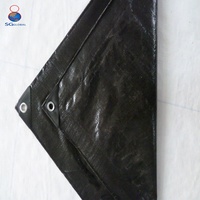 Bâche de protection robuste et imperméable en polyéthylène (LDPE) enduit anti-UV, 2x3 m, tissée unie, max. 3 couleurs, blanc