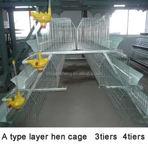 A Type Layer Bird Cage with Water Pressure Regulate For Kenya Poultry Farm cage parrot breeding cage animal
