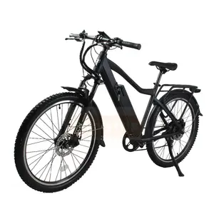 new products 2017 Italian low price good-looking city electric bike