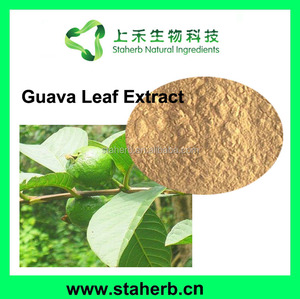 Trung Quốc nhà máy nhà sản xuất psidium guajava chiết xuất 4:1 10:1 ổi lá ổi lá chiết xuất - Product Image 2