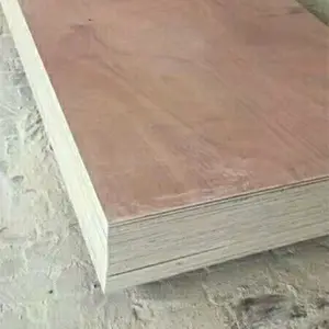 Contreplaqué de peuplier bois pin LVL pour l'emballage en bois