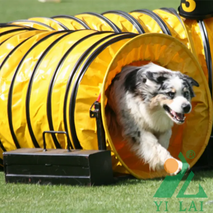 Túnel para cães de 600mm de diâmetro, túnel para animais de estimação e treinamento ao ar livre