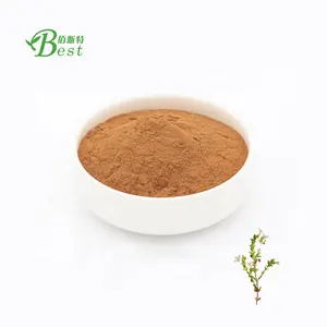 Chất lượng cao Eyebright thảo mộc/Eyebright Chiết Xuất/Euphrasia officinalis L. 4:1 10:1