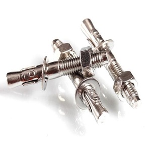 Alta calidad SS304 SS316 de acero inoxidable fuerza de anclaje de cuña de bolt - Product Image 1