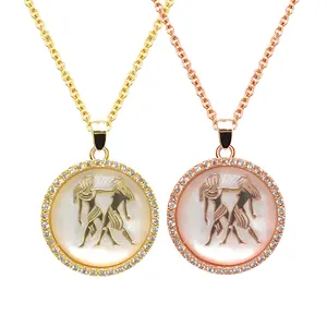 Hot koop factory direct prijs vergulde messing ketting shell 12 Zodiac Signs parelmoer Met Beste Kwaliteit En Lage