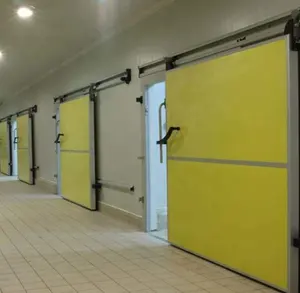 Good Quality Standard Size Sliding DoorためCold Room