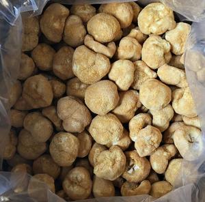 1 kg <span class=keywords><strong>de</strong></span> Hongos <span class=keywords><strong>Cabeza</strong></span> <span class=keywords><strong>de</strong></span> Oso (Monkeys Head) Cultivados, Secados y Recién Cosechados - Product Image 2