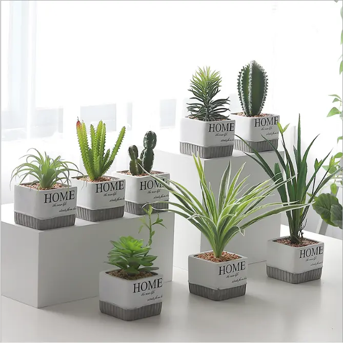 Plante artificielle bonsaï succulente, cactus décoratif pour le bureau, matériel artificiel, pièces