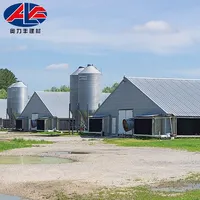Steel Structure Farm Broiler Poultry Shed Construction Chicken House Designs