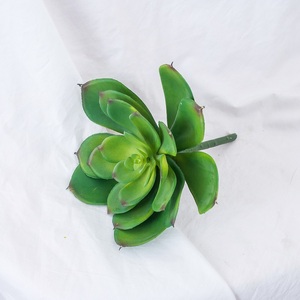 Plantas Artificiales <span class=keywords><strong>Suculentas</strong></span> Miniatura sin Maceta para Decoración <span class=keywords><strong>de</strong></span> Interiores, Surtido DIY <span class=keywords><strong>al</strong></span> <span class=keywords><strong>por</strong></span> <span class=keywords><strong>Mayor</strong></span>, Económicas, en <span class=keywords><strong>Venta</strong></span> - Product Image 2