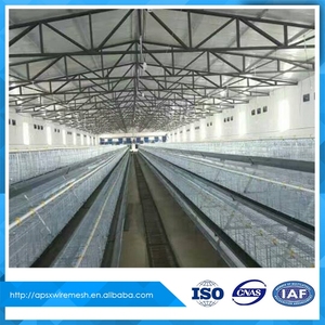 Dar es salaam tanzania <span class=keywords><strong>granja</strong></span> avícola mejor venta de pollo jaula - Product Image 1