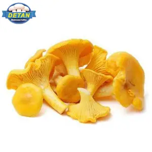 Detan Fresh Wild Chanterelle Mushroom