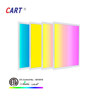 VUÔNG 2 Bởi <span class=keywords><strong>4</strong></span> Tùy Chỉnh Đèn Led Bảng Điều Chỉnh Ánh Sáng Thay Đổi Màu Sắc Và Thay Đổi Độ Sáng 60X120 Rgbw Trần Lõm Dẫn Bảng Điều Chỉnh Ánh Sáng - Product Image 5