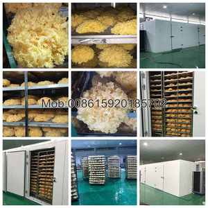 Máy sấy dehydrator máy sấy cà phê wcfxhp công nghiệp với <span class=keywords><strong>CE</strong></span> - Product Image 5